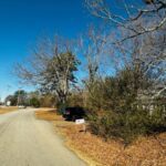 thumbnail_IMG_2903 (1)